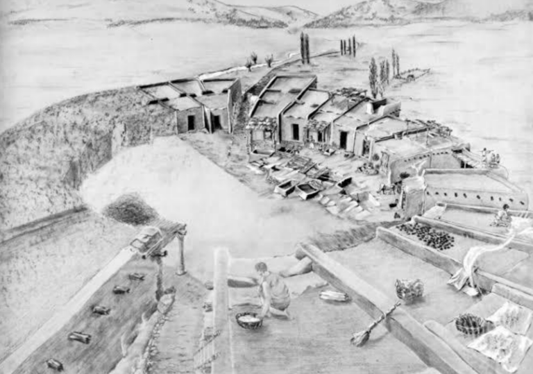 Reconstruction of the Demircihöyük settlement plan revealed through archaeological excavations. Korfmann, 1983. Credit: Sarı, D., & Mean, F. D. (2026)