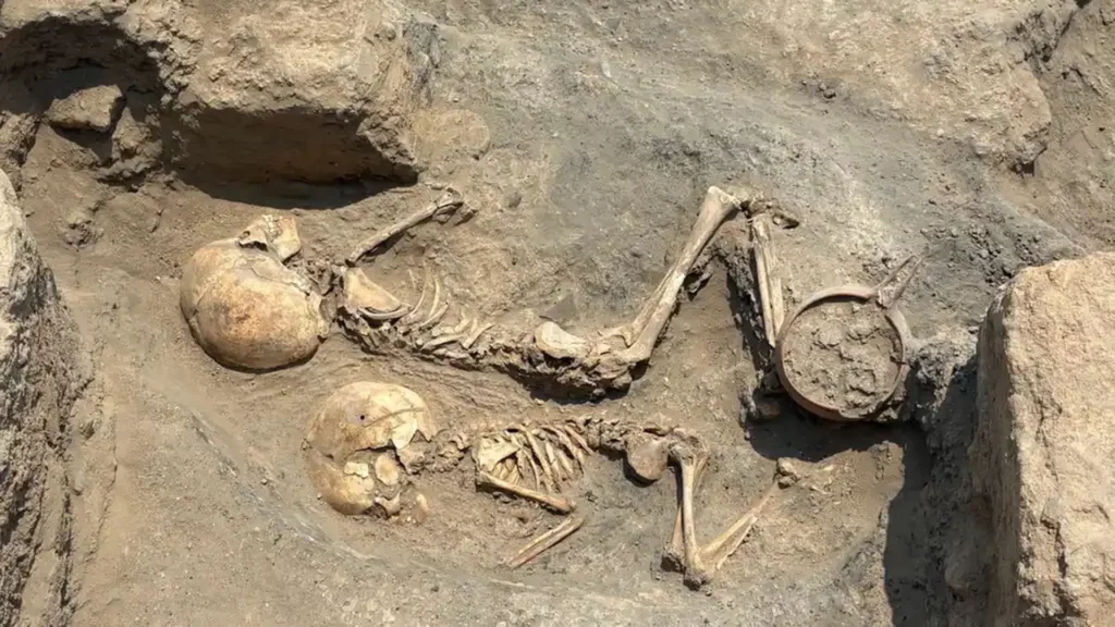 The skeleton of a five-year-old child was found in a single grave at Djarkutan, buried beside the remains of a younger child. Credit: Italian Archaeological Mission in Uzbekistan