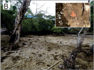Scientists Find a Fiji Island That May Have Been Built from Ancient Food Waste