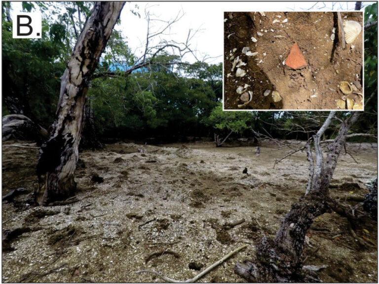 General view of the surface of the Culasawani shell island; inset shows a 2-cm long potsherd within the shell midden (side of crab mound). Credit: Nunn, P. D., et.al., 2026
