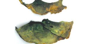 Misidentified as Bearskin for 80 Years, Sweden’s Oldest Shoe Emerges from Beneath a Roman Cauldron