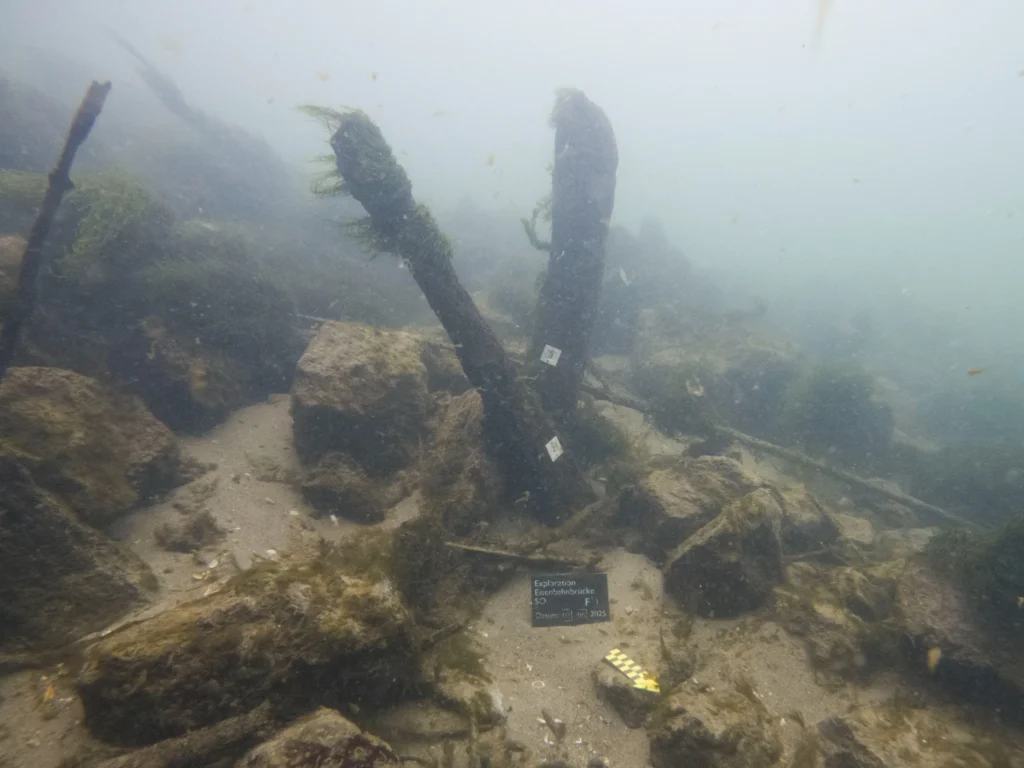 The largest surviving remains of the bridge. The two wooden piles rise about one meter from the riverbed and measure roughly 20 centimeters in diameter. Credit: Kantonsarchäologie Solothurn / Carlos Pinto