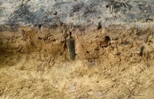 Metal Detectorist Finds Rare 2,700-Year-Old Bronze Sword Buried Upright in a Polish Forest