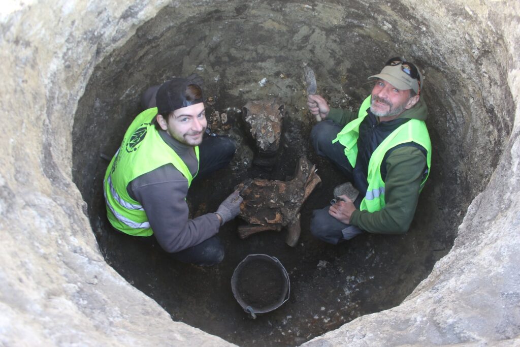 After careful excavation, cattle skulls were uncovered at the bottom of a deep storage pit. Credit: SZIKM Régészeti Örökségvédelmi és Tudományos Osztály