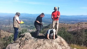 37 Rock-Cut Presses Discovered in Spain May Not Have Been Used Only for Wine