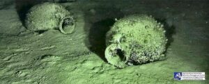 2,400-Year-Old Shipwreck Off Calabria Holds More Than 300 Amphorae from Magna Graecia