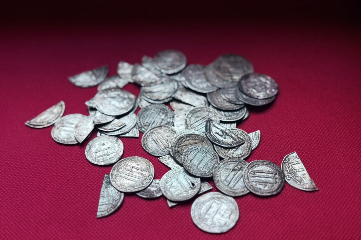 1,200-Year-Old Hoard of 59 Arab Silver Dirhams Found Near Kaliningrad, Russia