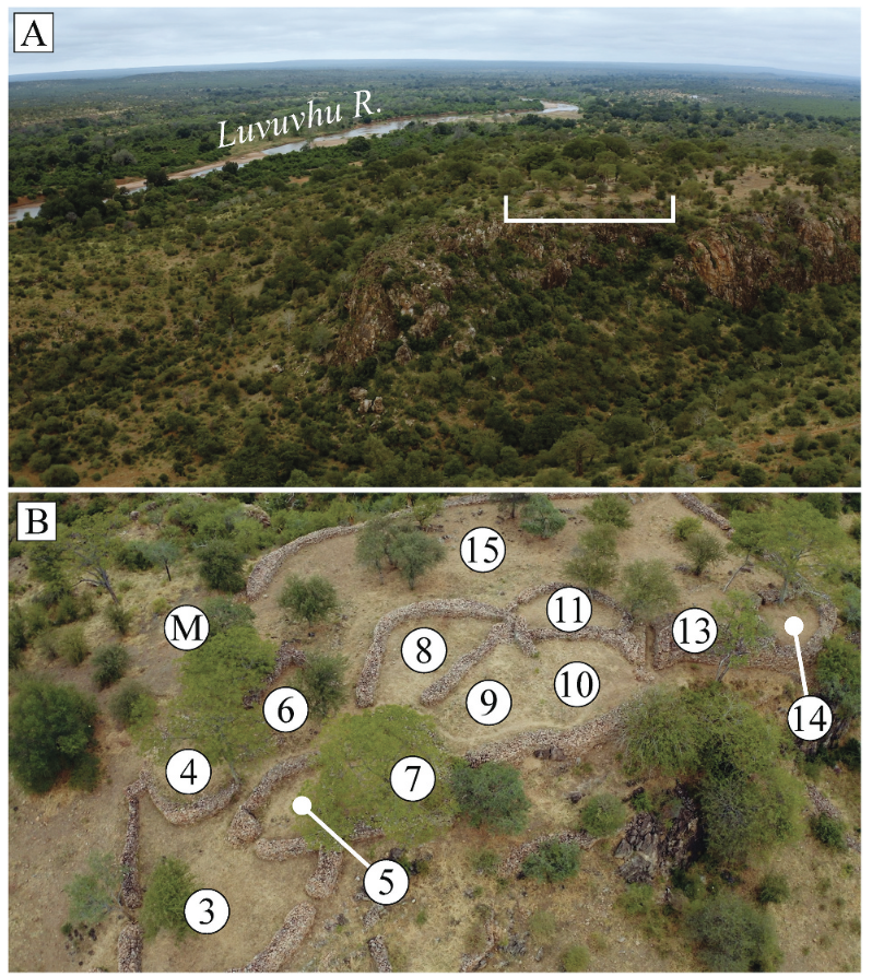 An aerial view looking east over Thulamela, marked with a white line (A), and the stone-walled complex (B) showing the locations of the enclosures and the midden (Photo: CliveMorris productions). Credit: Forssman, T., et.al., 2026