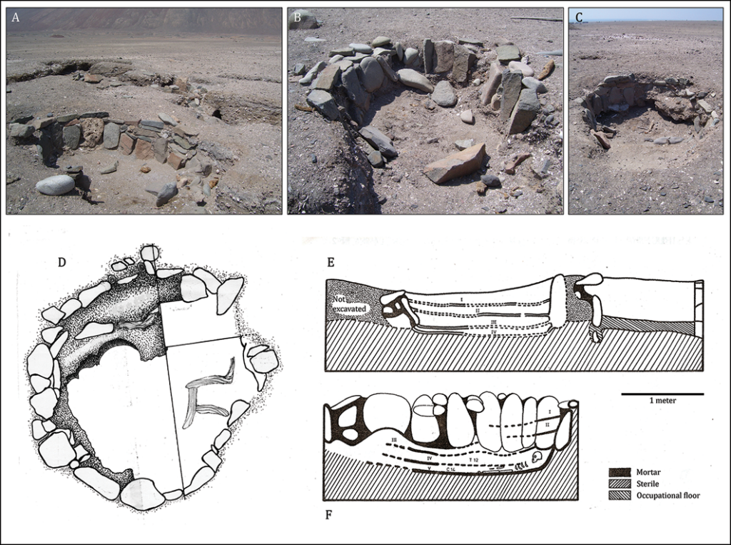 Structures at Caleta Huelén 42: A–C) photographs of some structures; D) plan drawing of structure 2; E & F) profile drawing of the excavation of structure 1 (figure by authors; images D & E modified from Núñez, P. 1971a). Credit: Ballester, B., & de Souza, P. (2026)