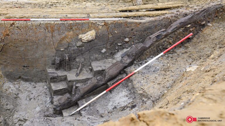 Britain’s Longest Known Iron Age Log Ladder Found in Cambridgeshire