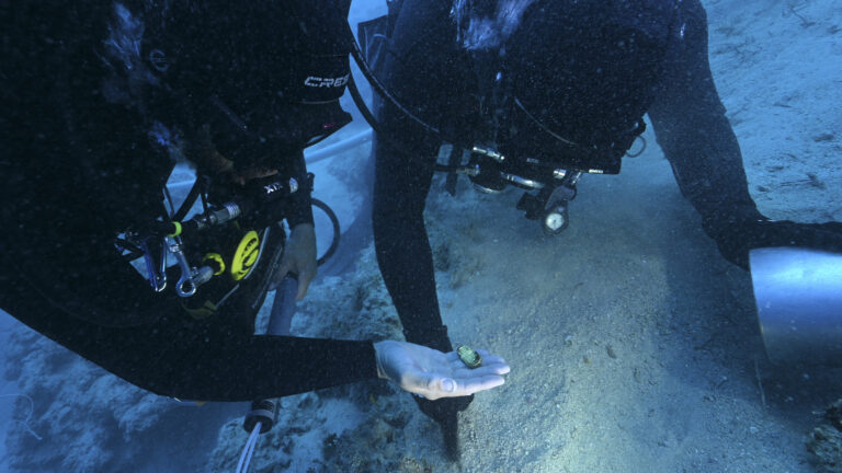 Byzantine Shipwreck Off Croatia Yields Record Gold Treasure and an Emperor’s Ring