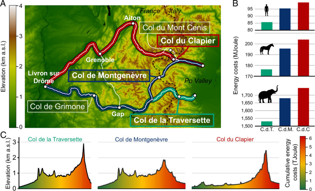 Possible routes for Hannibal’s Alpine crossing, with elevation, cumulative energy costs, and route profiles shown for the three most efficient options. The study found that the Col de la Traversette required the lowest direct energy cost for men, horses, and elephants. Elevation data: NASA. Credit: E. Berti, & F. Vollrath, 2026