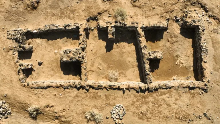 Rare ‘Ratl’ Stone Weight Found at Early Islamic Mining Settlement in Saudi Arabia