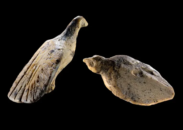 Archaeologists Unearth Two Miniature Mammoth Ivory Birds Carved 40,000 Years Ago