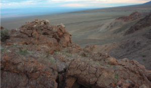 Turkic-Period Tomb in Mongolia Yields 1,400-Year-Old Peach Wood Bow and Runic-Inscribed Horse-Head Fiddle