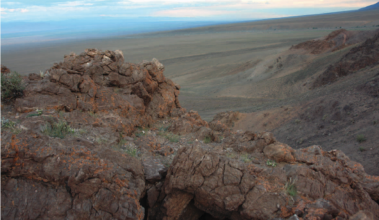 Turkic-Period Tomb in Mongolia Yields 1,400-Year-Old Peach Wood Bow and Runic-Inscribed Horse-Head Fiddle
