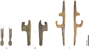 5,000-Year-Old Spear-Throwers Found in Chile Were Used to Hunt the Wild Ancestors of Llamas