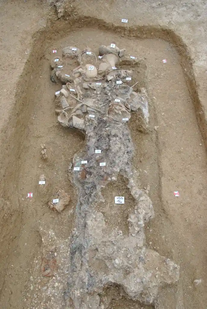The female burial uncovered beside the central princely chariot tomb in the 6th-century BC Picene funerary complex near Sirolo, central Italy. Credit: Soprintendenza ABAP Ancona Pesaro Urbino
