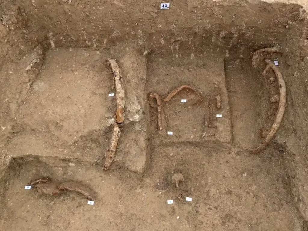 The princely chariot tomb at the center of the newly uncovered 6th-century BC Picene funerary complex near Sirolo, central Italy. Credit: Soprintendenza ABAP Ancona Pesaro Urbino