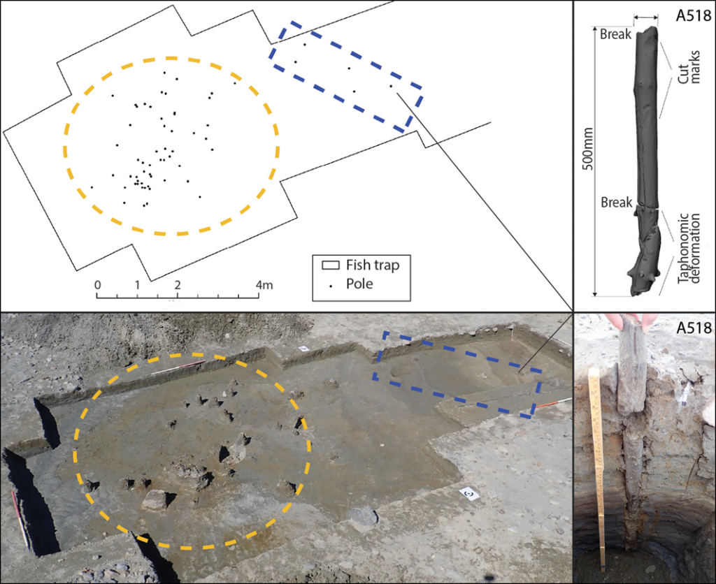 (Left) plan and photograph of trap 5; right) 3D rendering and in situ photograph of one of the best-preserved poles in the trap (A518) (figure by authors). Credit: Mjærum, A., et.al., 2026