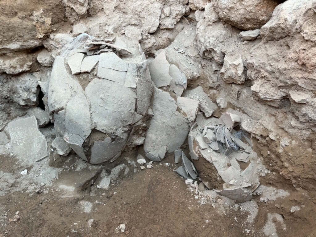 Three Middle Bronze Age storage jars discovered in Area D at Shiloh in 2026. Credit: Jordan McClinton / Associates for Biblical Research