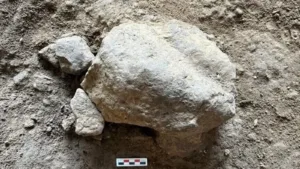 25 Turtle Figurines Unearthed in a Turkish Cave, Some Dating Back 16,500 Years