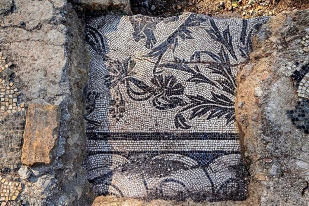 Floral patterns adorned this floor, and traces of a later remodeling were also discovered. Credit: Ministero della Cultura