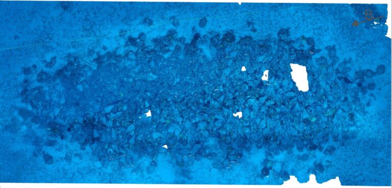 Archaeologists Find 5th-Century BC Shipwreck with Up to 650 Amphorae off Andros