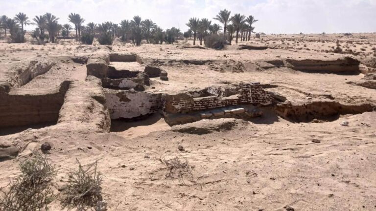 Egypt Uncovers Remains of a Medieval Caravanserai for Pilgrims in the Lost City of Asila, North Sinai