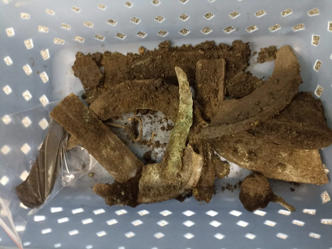 3,000-Year-Old Bronze Hoard Unearthed in Czech Wetland