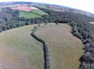 A Lost Viking Battlefield May Have Been Hidden in Devon for Centuries