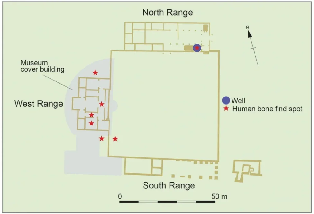 Distribution of human remains around and within Brading Roman Villa. (Adapted from Cunliffe 2013, fig. 10.16). Credit: Fulford, M., & Hamilton, D., Britannia (2026)