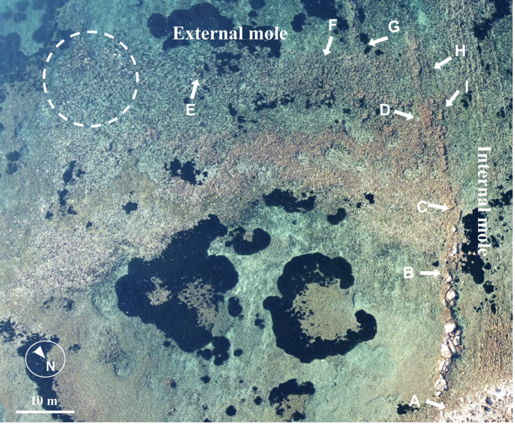 Drone aerial view of the Etruscan harbor area, showing the coastline, cliff edge, surviving ashlar blocks, conglomerate features, canal, natural rock, aligned and fallen masonry, and an irregular concentration of displaced ashlars. The dark patches mark Posidonia oceanica seagrass meadows. Credit: Giorgi et al. (2026), Journal of Cultural Heritage.