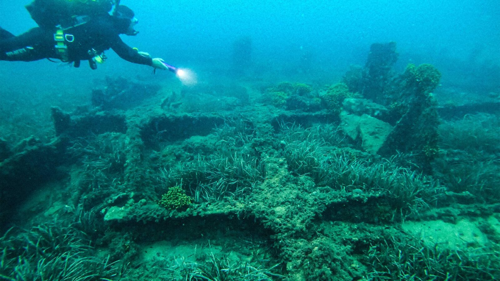 They Sank 100 Warships in One of History's Deadliest Battles — Now You Can Swim Through Every One of Them