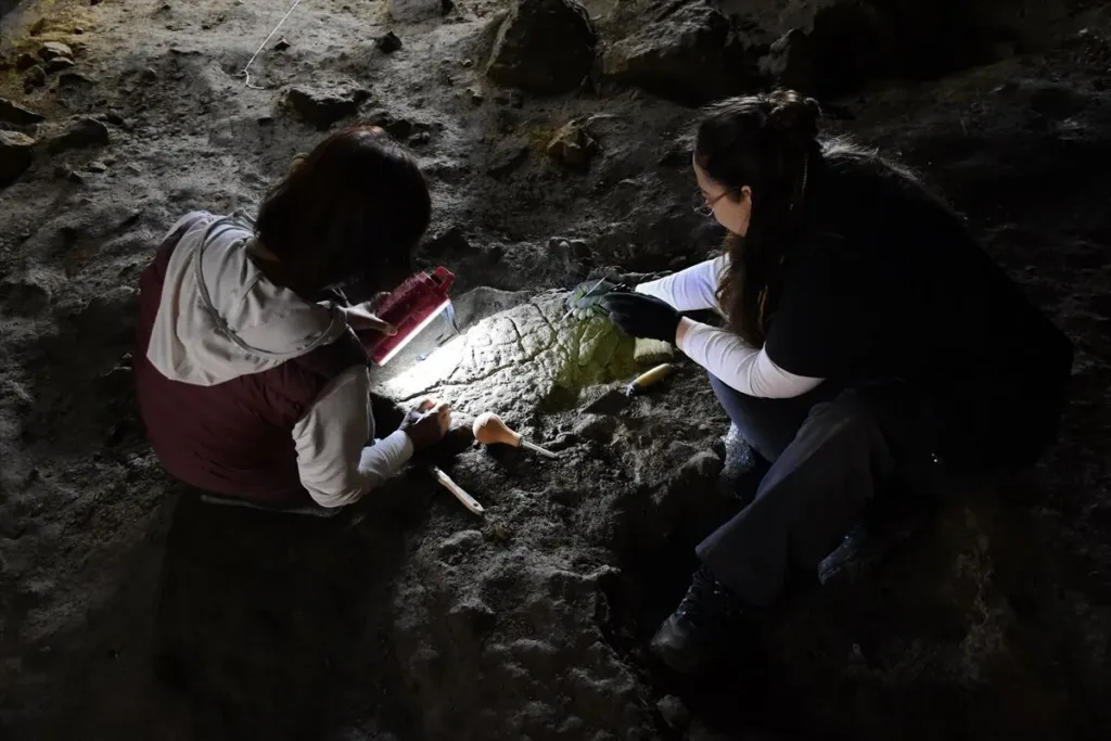 The team found approximately 25 figures made mainly from limestone, while some appear to carry a coating of clay. Credit: AA