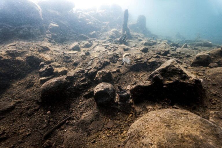 Divers Uncover Ancient Wheat, Bronze Age Pots, and Mystery Timbers in Italy’s Sunken Prehistoric Settlement