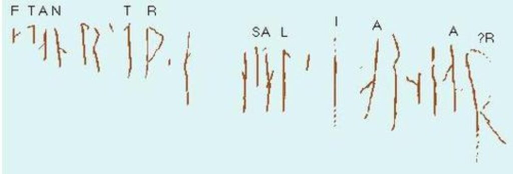 Transcription of the recognizable Halfdan Runes. Credit: Public Domain
