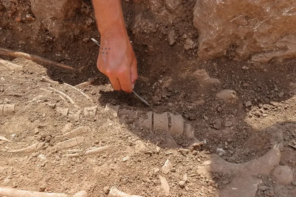 New 2,300-Year-Old Tombs Discovered in Hittite Capital of Hattusa - Anatolian Archaeology