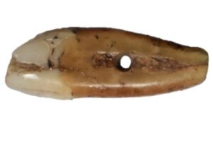 Object Mistaken for an Animal-Tooth Bead Turns Out to Be a 6,500-Year-Old Human Tooth Pendant