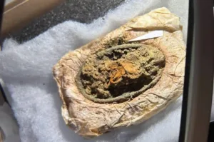 Rare Viking Girl’s Grave in Denmark Preserves 1,300-Year-Old Clothing