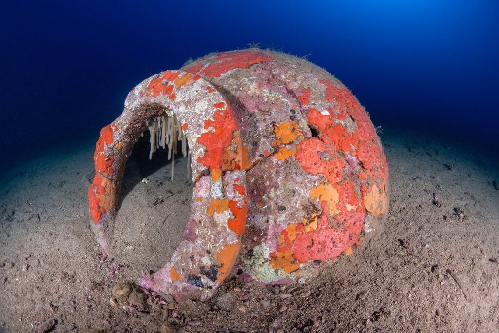 
Roman dolia varied greatly in size, with some large examples capable of holding around 2,000 liters—roughly the equivalent of 75 standard Roman amphorae. Credit: Soprintendenza archeologia, belle arti e paesaggio per le province di Pisa e Livorno