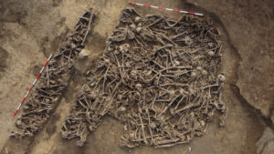 Roman Mass Grave Beneath Vienna Soccer Field Reveals Unusual Concentration of Pelvic Wounds