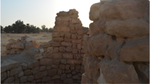Reading Ruined Stone Walls with the Assistance of AI