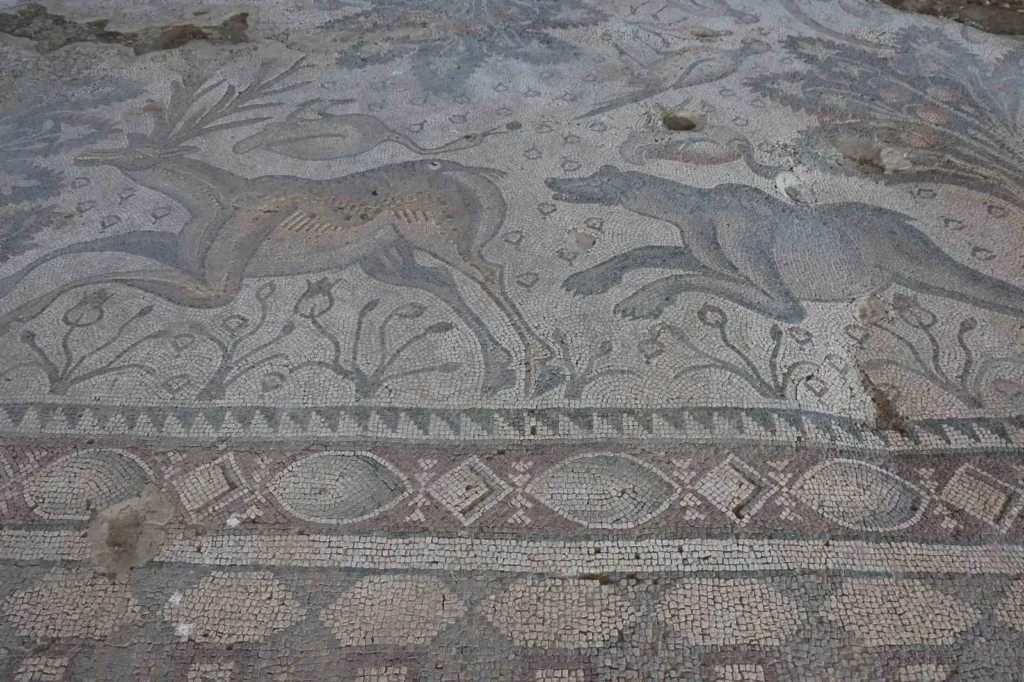 Archaeologists working at Salkaya village in Elazığ have uncovered far more than the 84-square-meter mosaic that first drew attention to the site. 