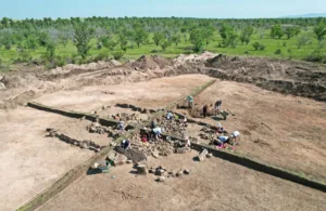 Rare Tagar Horse Engravings Discovered in an Early Iron Age Burial Mound in Khakassia