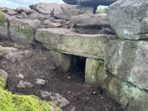 Tomb of the Giants Discovered Beneath the Undergrowth Near Macomer, Sardinia