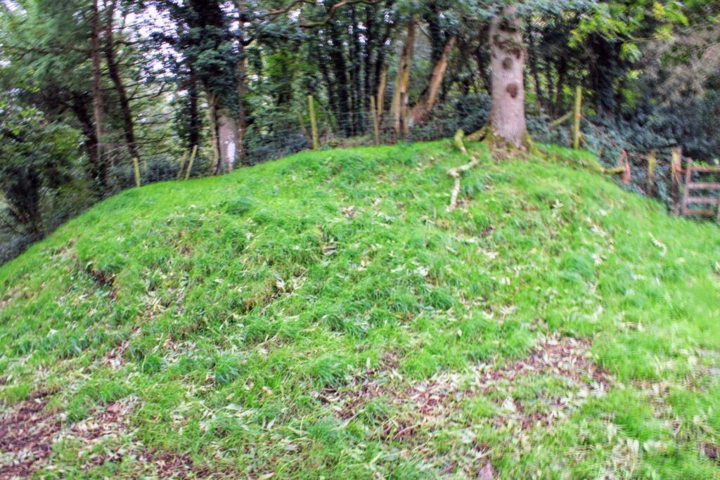 
The mound near Castle Hill that has been proposed as a possible burial place of the Viking leader Ubbe. Credit: Photo courtesy of Paul Harper.