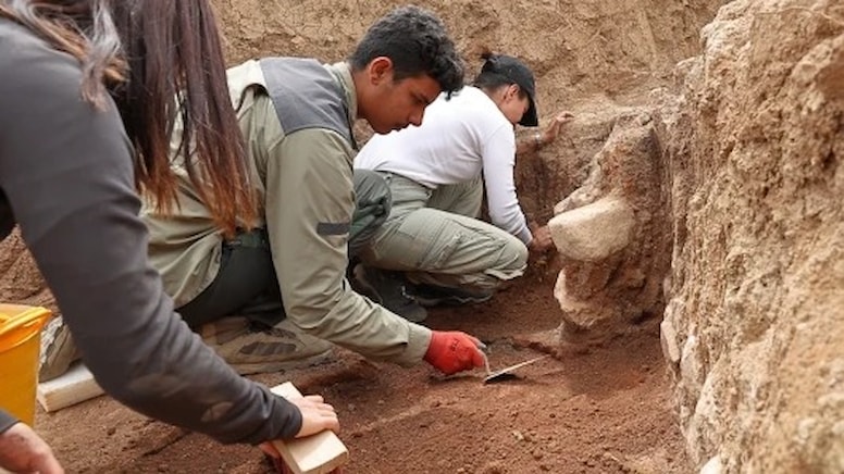 During the 2026 excavations, archaeologists found a cattle skull in one of the L-shaped rooms of the monumental building at Šapinuwa. Credit: Kemal Ceylan / AA