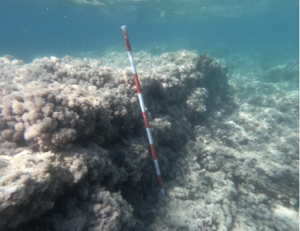 Submerged Etruscan Harbor off Rome May Be the Earliest Known Port Linked to a Temple