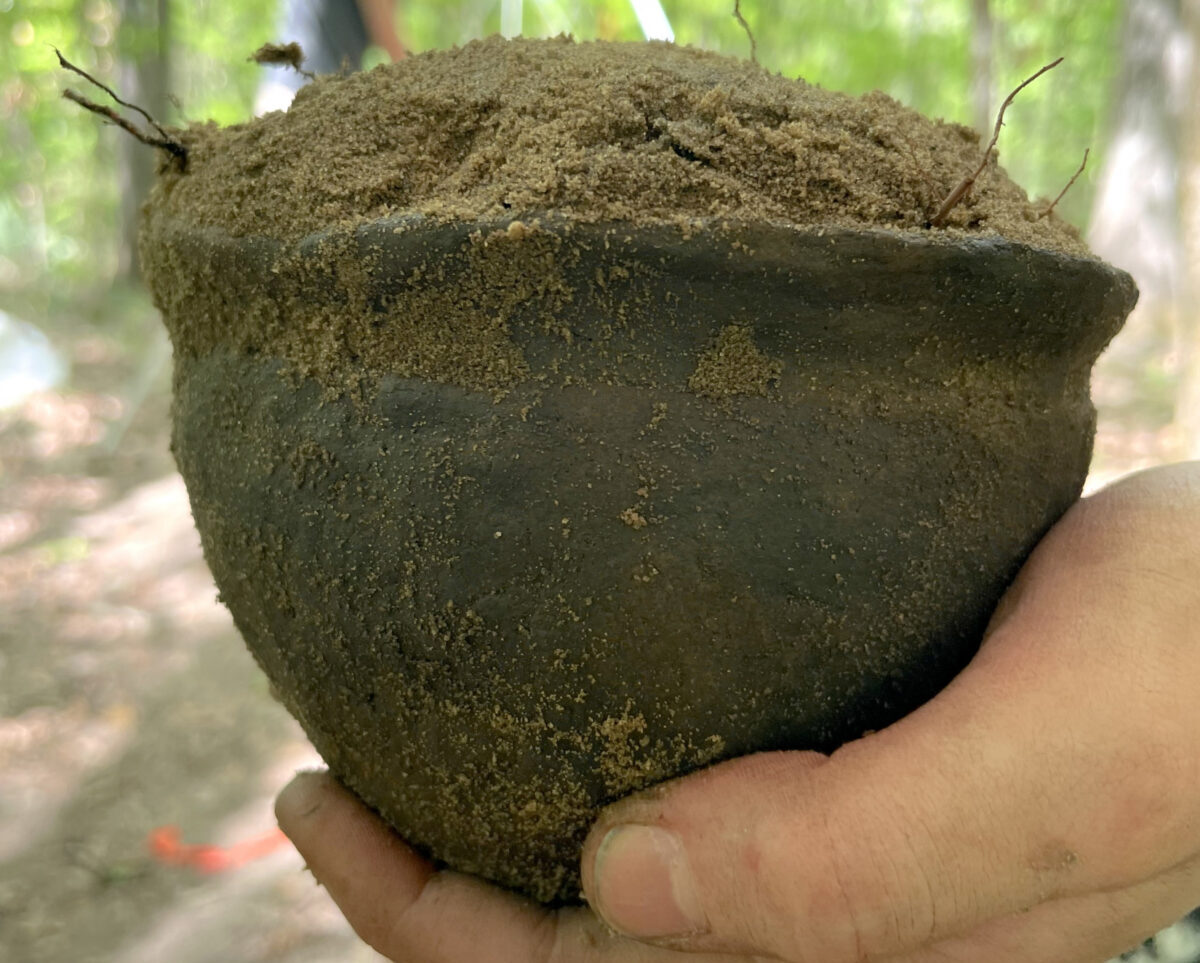 Rare Centuries-Old Potano Pot Found Intact in Florida — Its Purpose Still a Mystery
